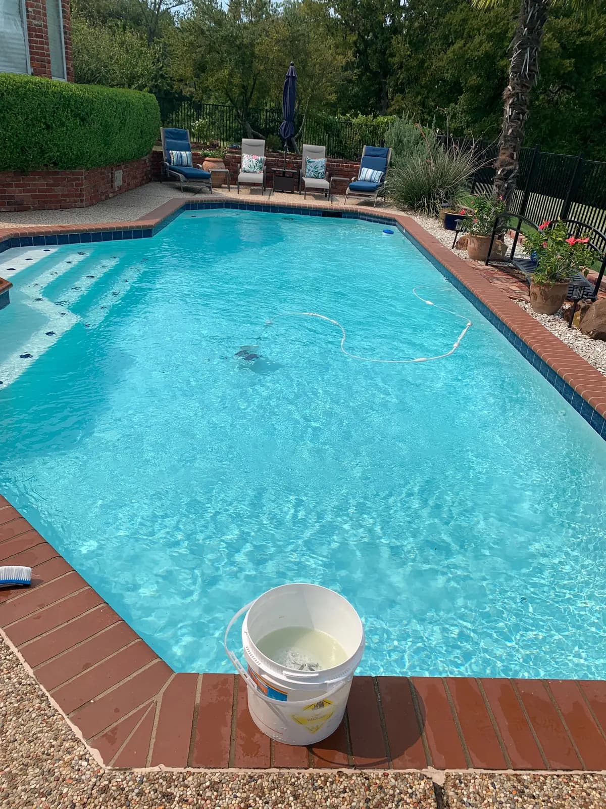 A rectangular pool with dark brick coping and a red brick deck, a suction cleaner hose curled across the water and a chemical bucket standing on the coping, at a home in Richardson, Texas