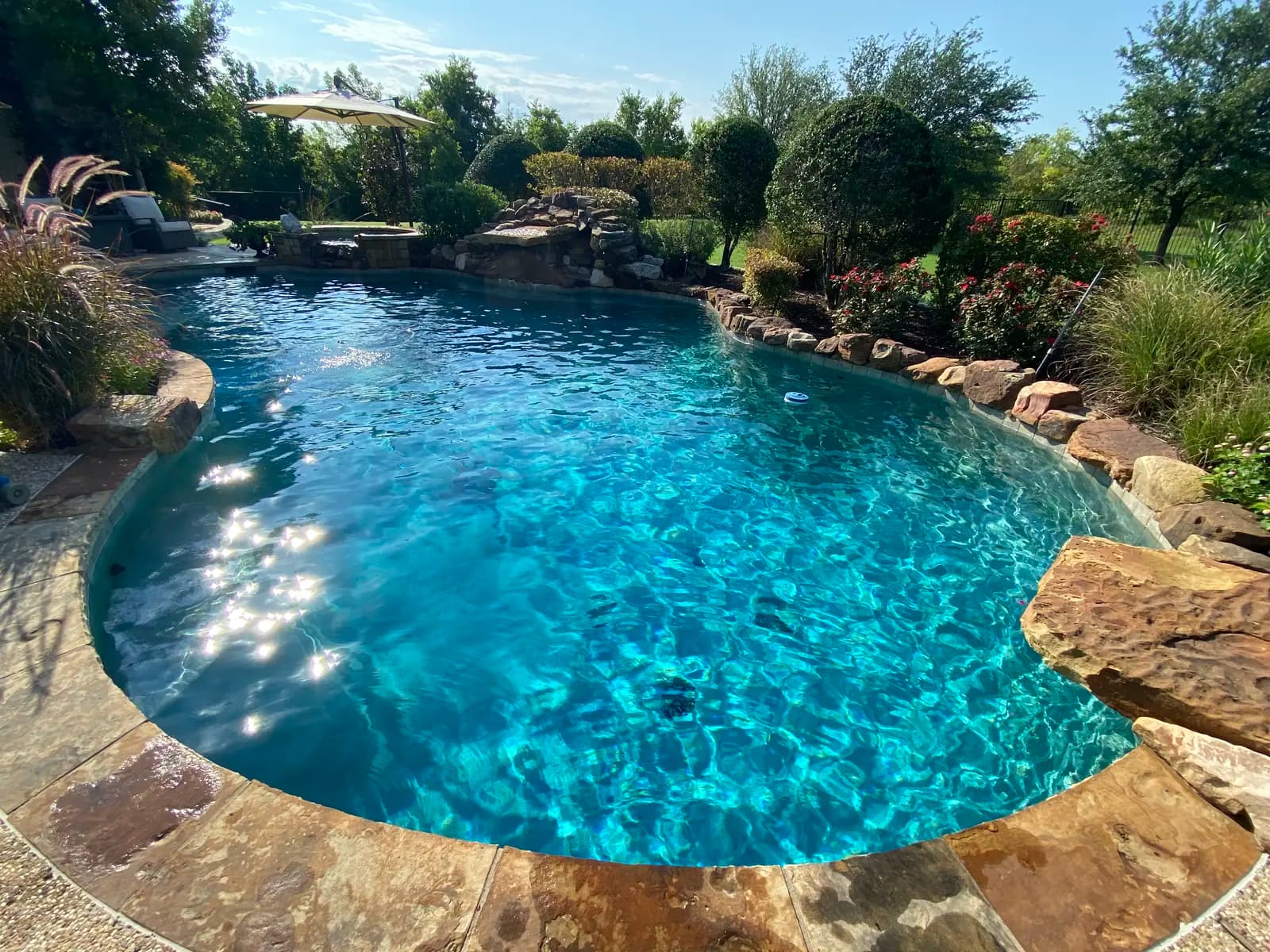 A freeform pool with flagstone coping and a rock water feature at the far end, edged by rose beds and clipped shrubs, in The Colony, Texas