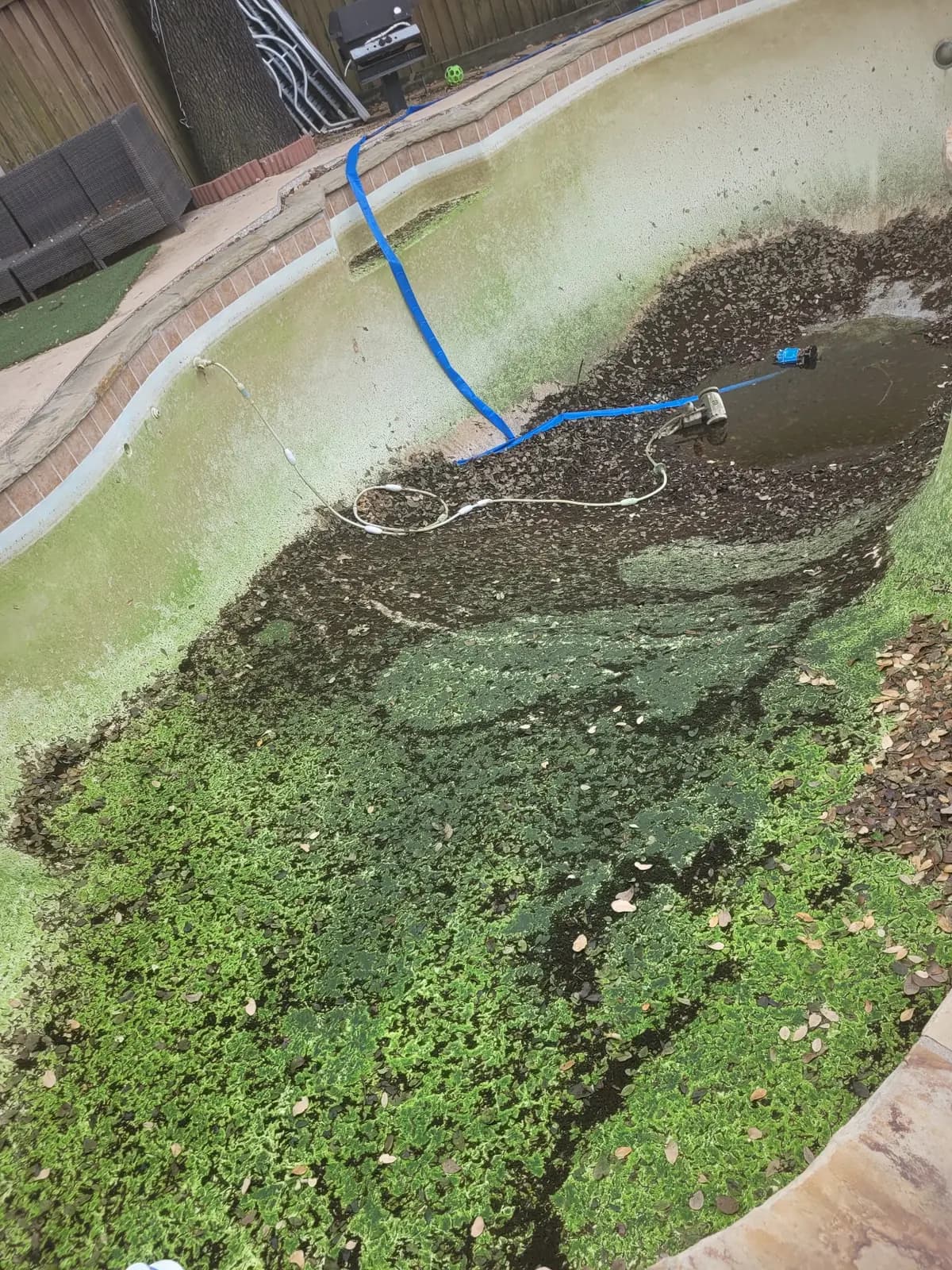 A drained pool with its floor covered in thick green algae and black debris, a submersible pump running